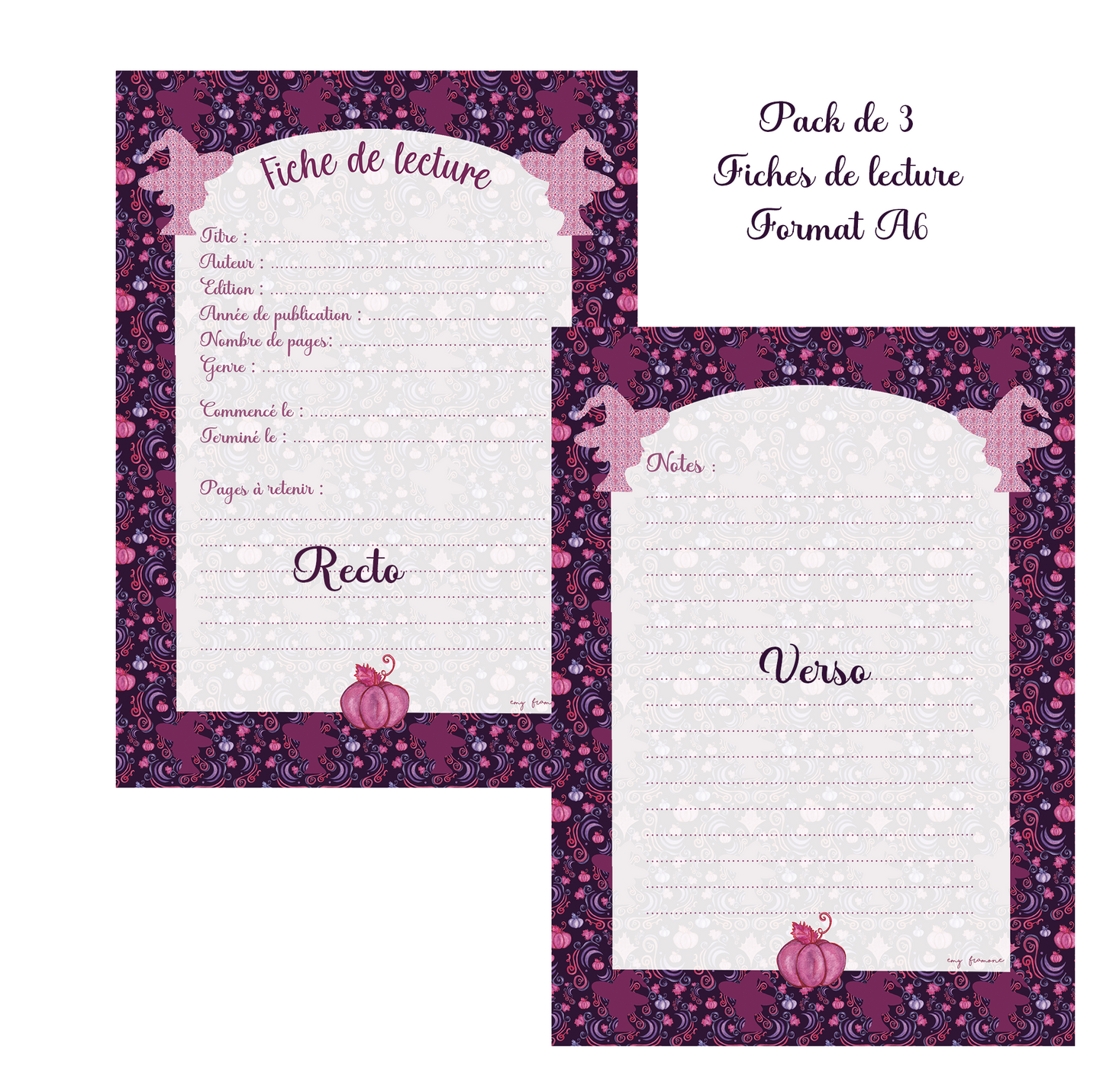 Pack de 3 fiches de lecture A6