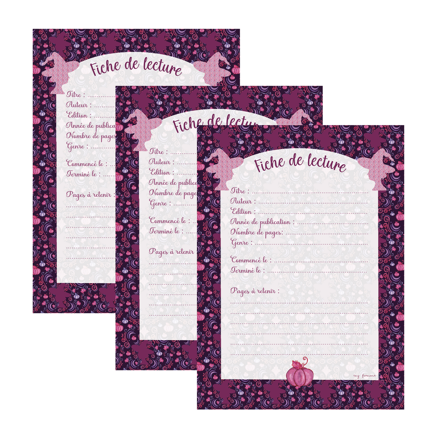 Pack de 3 fiches de lecture A6