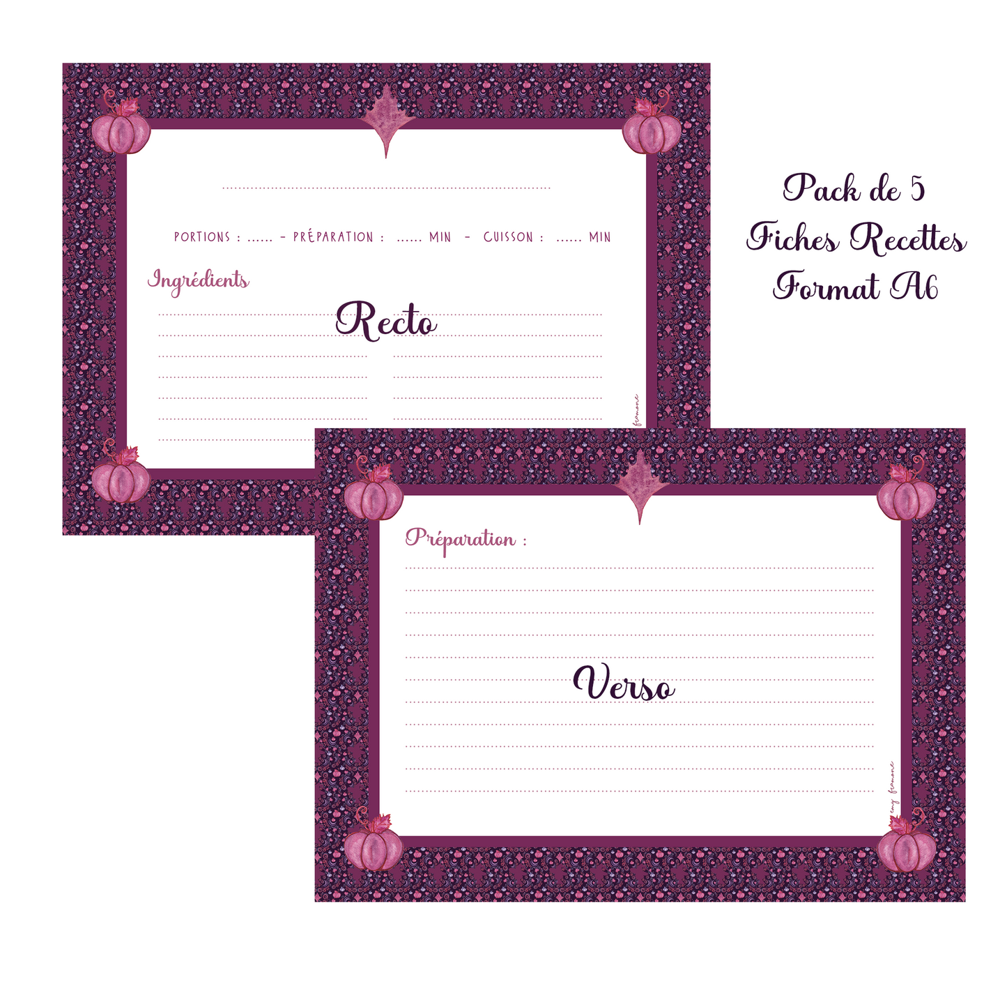 Pack de 5 fiches Recettes A6